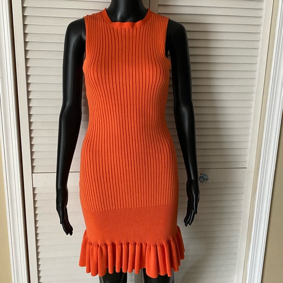 Ruffle Hem Ribbed Knit Dress - Picture 1 of 4